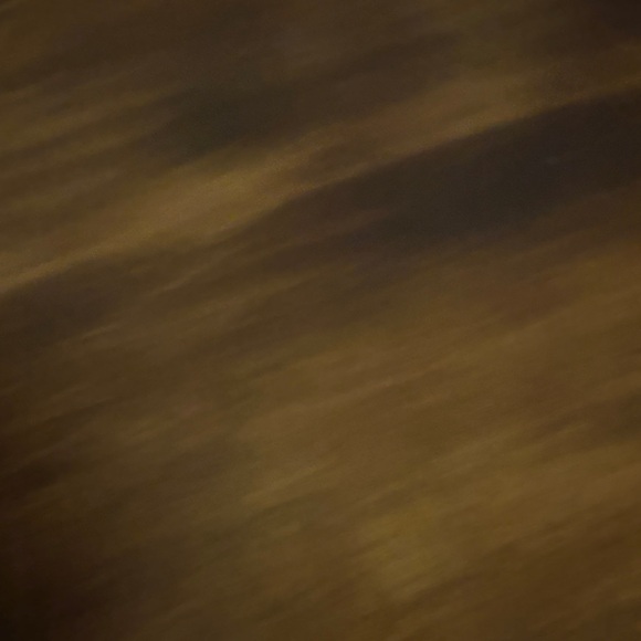 Sakroots Multicolor Wristlet Bag - Picture 7 of 7